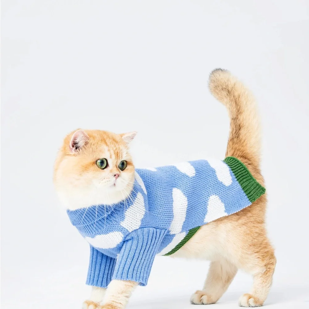 Cider Sky Blue and White Cat Sweater